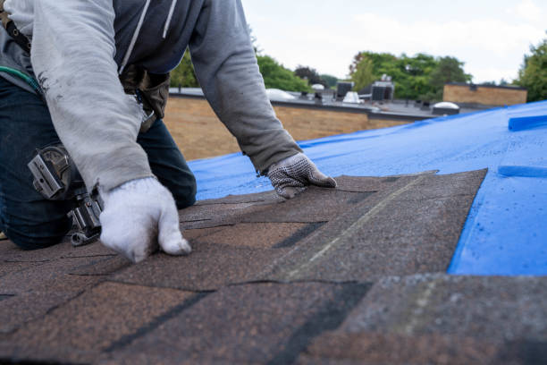 Best Roof Replacement Cost  in East Lexington, VA