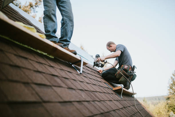 Best Roof Gutter Cleaning  in East Lexington, VA